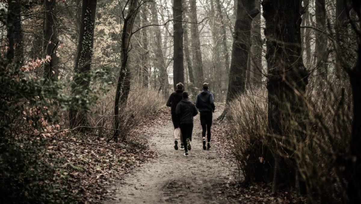 runners-in-woods-pexels-skitterphoto