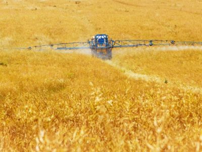 agriculture-pesticide-crop