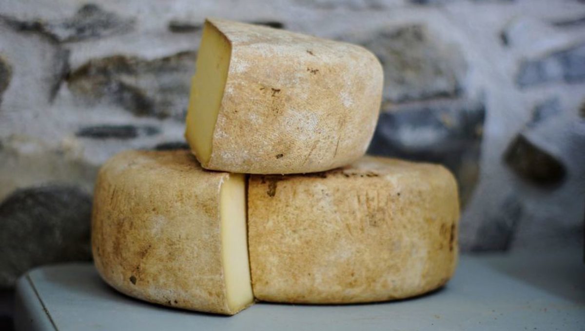 stacked-cheese-alexander-maasch-202885-unsplash